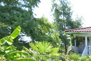 5121 Gaston - GARDEN VILLA Courtyard